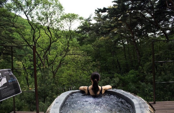 레스트리 앤 포레스트 리솜 1