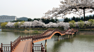 스크린샷 2020 03 17 오후 6.12.18 e1743578916490