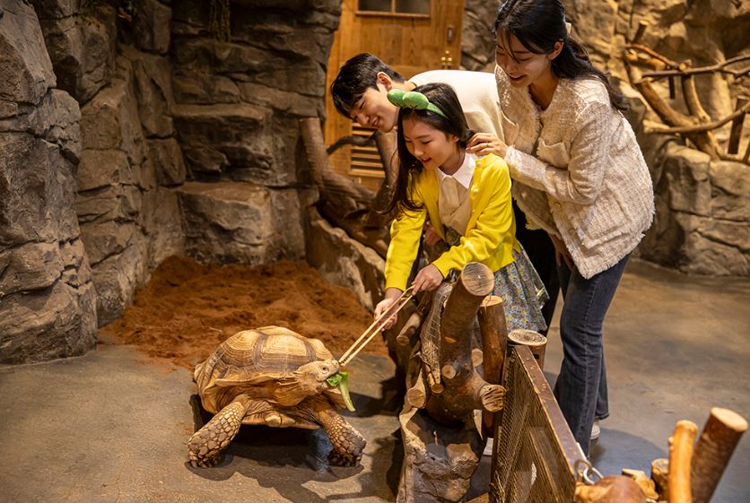 '서울 실내 가볼만한곳' 너무 더울때 실내 데이트 하기도 좋은 5곳 어디? 13 주렁주렁 동물원 영등포점 3